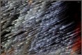 /album/flou-et-reflets/i-14-copie-jpg/